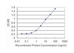 CYB5A (M06), Mouse anti-Human, Clone: 1A8, Abnova 100&mu;g; Unlabeled:Antibodies,