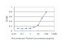 CYP2J2, Mouse, Clone: 2D10, Abnova 100&mu;g; Unlabeled:Antibodies, Monoclonal