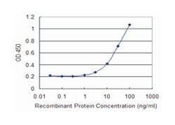 DGKA, Mouse, Clone: 2B7, Abnova 100&mu;g; Unlabeled:Antibodies, Monoclonal