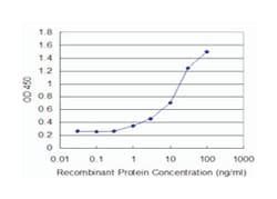 DCK, Mouse, Clone: 1G6, Abnova 100 &mu;g | Buy Online | Abnova Corporation | Fisher Scientific