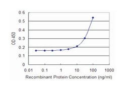 DDT, Mouse, Clone: 1D5, Abnova 100&mu;g; Unlabeled:Antibodies, Monoclonal
