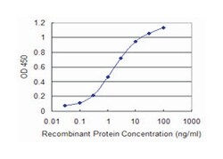 DHX8, Mouse, Clone: 1D6, Abnova 100&mu;g; Unlabeled:Antibodies, Monoclonal