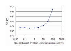 DDX11, Mouse, Clone: 3C1, Abnova 100&mu;g; Unlabeled:Antibodies, Monoclonal