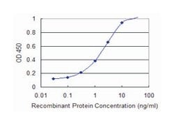 DFFA, Mouse, Clone: 3A11, Abnova 100&mu;g; Unlabeled:Antibodies, Monoclonal