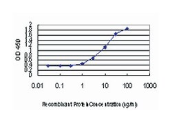 DLX2, Mouse, Clone: 2C8, Abnova 100&mu;g; Unlabeled:Antibodies, Monoclonal