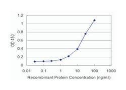 DLX5, Mouse, Clone: 1B7, Abnova&trade;