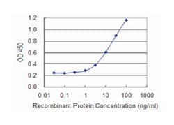 TSC22D3, Mouse, Clone: 2B2, Abnova 100&mu;g; Unlabeled:Anticuerpos