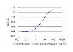 SLC26A2, Mouse, Clone: 3F6, Abnova 100&mu;g; Unlabeled:Antibodies, Monoclonal