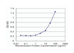 DTNB, Mouse, Clone: 1D3, Abnova 100&mu;g; Unlabeled:Antibodies, Monoclonal