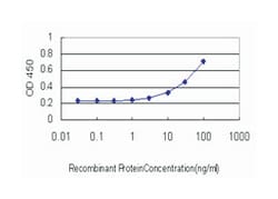 dual specificity phosphatase 4, Mouse, Clone: 1D12, Abnova 100&mu;g; Unlabeled:Antibodies,