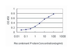 dual specificity phosphatase 6, Mouse, Clone: 3G2, Abnova 100 &mu;g | Buy Online | Abnova | Fisher Scientific