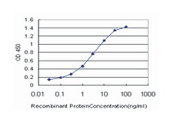 E2F4, Mouse, Clone: 5B7, Abnova 100&mu;g; Unlabeled:Antibodies, Monoclonal