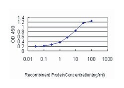 E2F transcription factor 6, Mouse, Clone: 1F7-A9, Abnova 100&mu;g; Unlabeled:Antibodies,