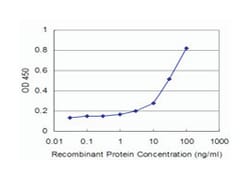 TTK protein kinase, Mouse, Clone: 4G9, Abnova&trade;