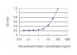 TXK tyrosine kinase, Mouse, Clone: 2D8, Abnova 100&mu;g; Unlabeled:Antibodies,