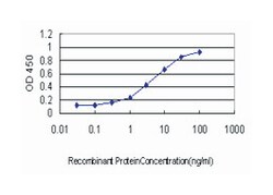 tyrosine 3-monooxygenase/tryptophan 5-monooxygenase activation protein,