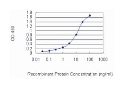 chromatin assembly factor 1, subunit B (p60), Mouse, Clone: 2G7, Abnova™