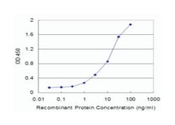 ECHS1, Mouse, Clone: 3C6, Abnova 100&mu;g; Unlabeled:Antibodies, Monoclonal