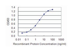 EIF4G1, Mouse, Clone: 3A10, Abnova 100 &mu;g | Buy Online | Abnova | Fisher Scientific