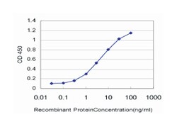 eukaryotic translation initiation factor 4 gamma, 1, Mouse, Clone: 2A9,