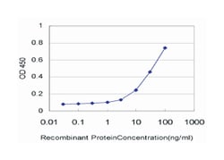 EIF5, Mouse, Clone: 2E6-4C12, Abnova 100&mu;g; Unlabeled:Anticorps, Monoclonal