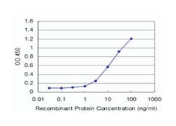 EN1, Mouse, Clone: 3E5, Abnova 100&mu;g; Unlabeled:Antibodies, Monoclonal