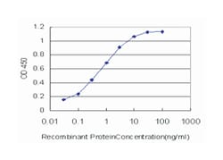 E1A binding protein p300, Mouse, Clone: 1D2, Abnova 50&mu;g; Unlabeled:Antibodies,