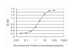 EPHB3, Mouse, Clone: 4E9, Abnova 100&mu;g; Unlabeled:Antibodies, Monoclonal
