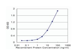 FAAH, Mouse, Clone: 7C9, Abnova 100&mu;g; Unlabeled:Antibodies, Monoclonal