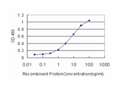 enhancer of rudimentary homolog (Drosophila), Mouse, Clone: 4A10, Abnova 100 &mu;g | Buy Online | Abnova Corporation | Fisher Scientific