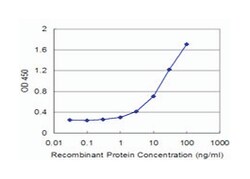 FCGR3A (M03), Mouse anti-Human, Clone: 2B11, Abnova 50&mu;g; Unlabeled:Antibodies,