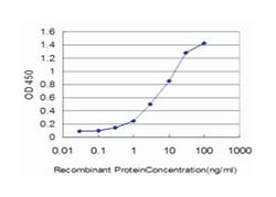 FGR, Mouse, Clone: 3G10, Abnova 100&mu;g; Unlabeled:Antibodies, Monoclonal