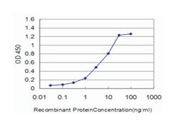 Gardner-Rasheed feline sarcoma viral (v-fgr) oncogene homolog, Mouse, Clone: 3B11, Abnova 100 &mu;g | Buy Online | Abnova | Fisher Scientific