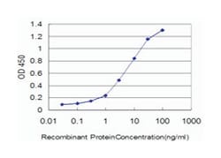 FGR, Mouse, Clone: 3F2, Abnova 100&mu;g; Unlabeled:Antibodies, Monoclonal