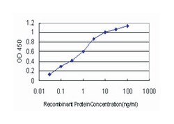 fragile histidine triad gene, Mouse, Clone: 1E3, Abnova 100&mu;g; Unlabeled:Antibodies,