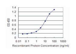 FKBP5, Mouse, Clone: 3D10-1G11, Abnova 100&mu;g; Unlabeled:Antibodies,