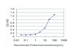 FLT4, Mouse, Clone: 4D1, Abnova 100&mu;g; Unlabeled:Antibodies, Monoclonal
