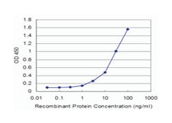 FTL, Mouse, Clone: 1C2, Abnova 100&mu;g; Unlabeled:Antibodies, Monoclonal
