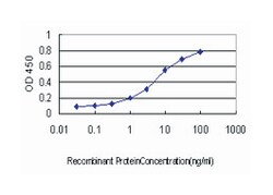 GTP cyclohydrolase 1, Mouse, Clone: 2C4, Abnova 100 &mu;g | Buy Online | Abnova Corporation | Fisher Scientific