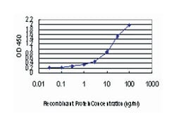 GSR, Mouse, Clone: 6B4, Abnova 100&mu;g; Unlabeled:Antibodies, Monoclonal