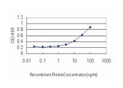 paired box 7, Mouse, Clone: 1E12, Abnova 100 &mu;g | Buy Online | Abnova Corporation | Fisher Scientific