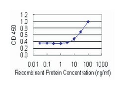 GLO1, Mouse, Clone: 4C12, Abnova 100&mu;g; Unlabeled:Antibodies, Monoclonal