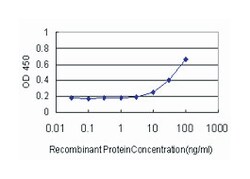 fibroblast growth factor 1 (acidic), Mouse, Clone: 2E12, Abnova 100&mu;g;