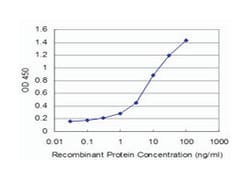 FOXF2, Mouse, Clone: 2F5, Abnova 100&mu;g; Unlabeled:Antibodies, Monoclonal