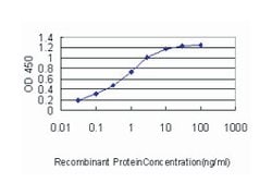 FLNA, Mouse, Clone: 4E10-1B2, Abnova 100&mu;g; Unlabeled:Antibodies, Monoclonal