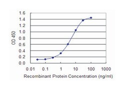 FLNA, Mouse, Clone: 3B6-1D10, Abnova 100 &mu;g | Buy Online | Abnova Corporation | Fisher Scientific