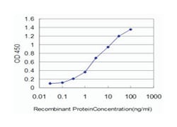FLT4, Mouse, Clone: 5F11, Abnova 100&mu;g; Unlabeled:Antibodies, Monoclonal