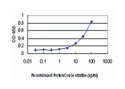 FK506 binding protein 12-rapamycin associated protein 1, Mouse, Clone: 2C5, Abnova&trade;