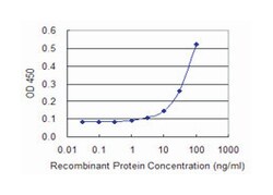 GK2, Mouse, Clone: 3G4, Abnova 100&mu;g; Unlabeled:Antibodies, Monoclonal