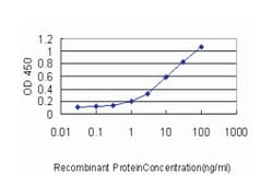GABPA, Mouse, Clone: 4B8-G6, Abnova 100&mu;g; Unlabeled:Antibodies, Monoclonal